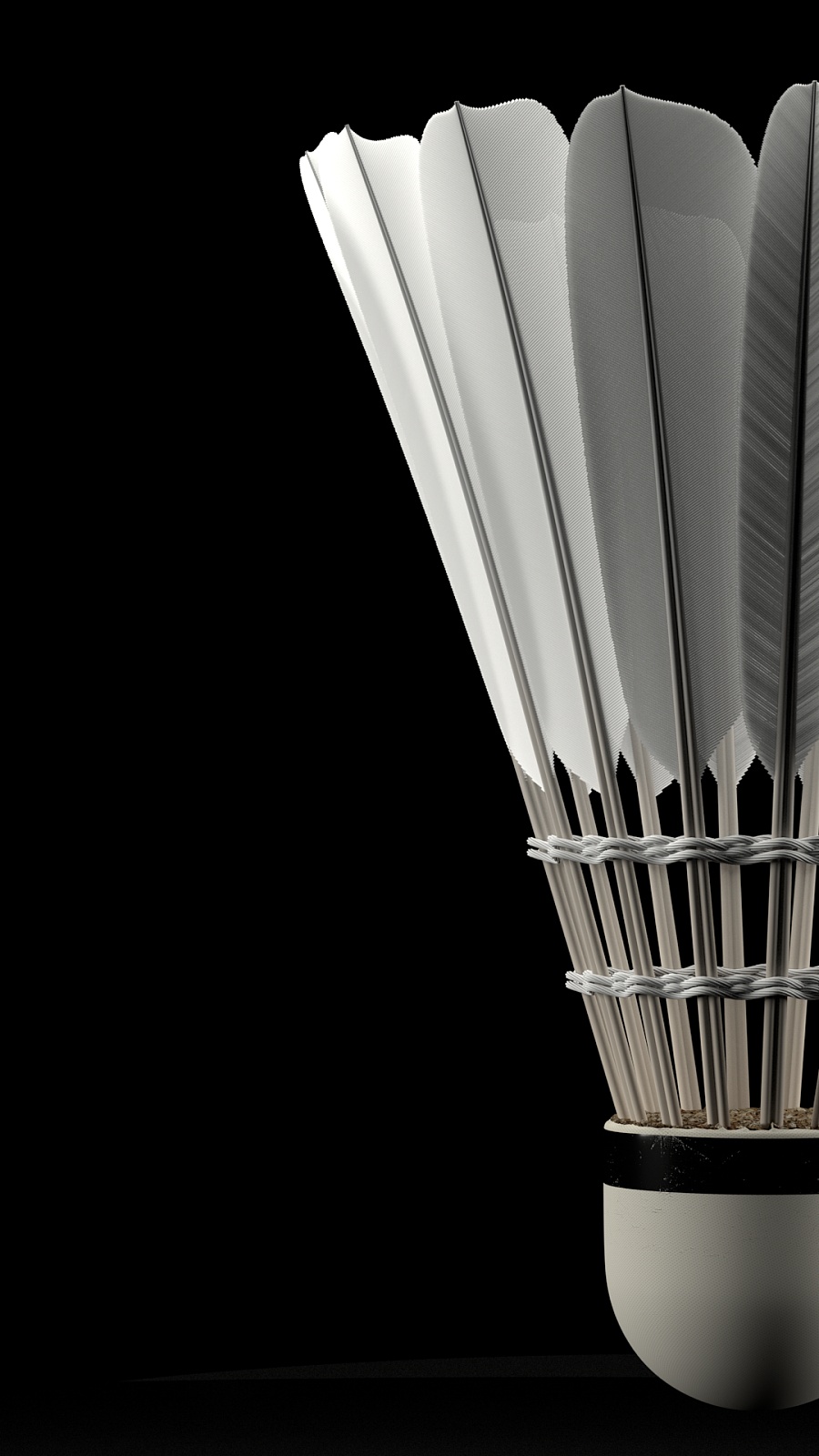 詹姆斯当他 詹姆斯当他