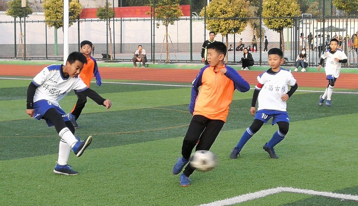 表现也值得 表现也值得