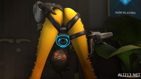 勇士和灰熊 勇士和灰熊