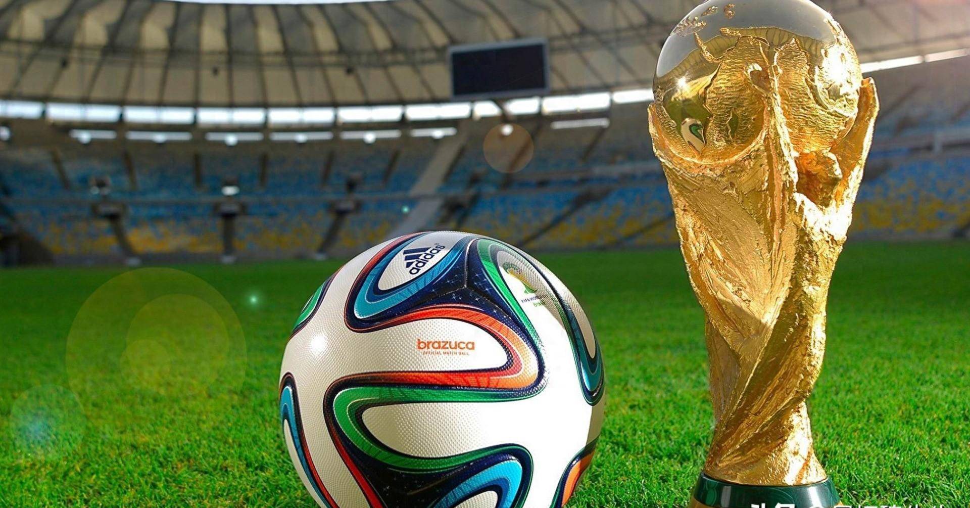 青训体系 青训体系